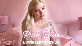 Pure Bliss & Utter Destruction