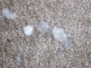 December 1St 2023... big shoot...