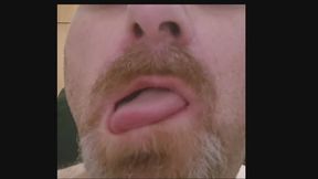 Toothless mouth of a mature bear