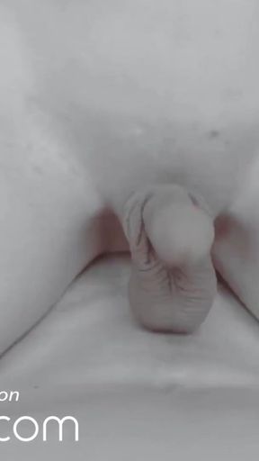 Jaw-dropping moment from "VRBTRANS Sucked To The Last Drop"