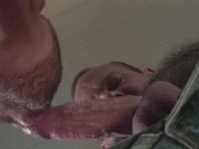 Furry Fuckers