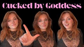 Cucked By Goddess - Cuckold Cuck Orgasm Control Denial Slave Training Verbal Humiliation Goddess Worship Homewreck Homewrecker Homewrecking