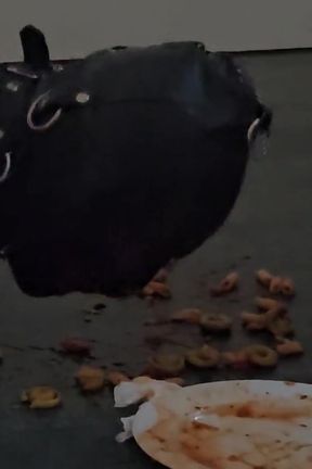 Sheela Sinner the Humiliation of My Useless Servant