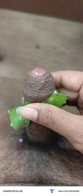 Part2 butt cleaning