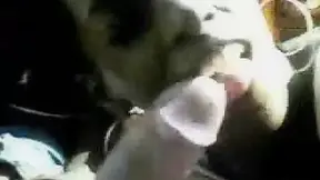 Black bitch is wild about tasting fat white willy