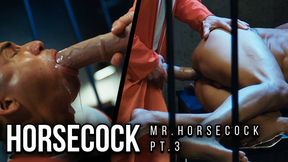 MR. HORSECOCK PT. 3