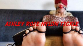 Ashley Rose Nylon Tickle in Stocks