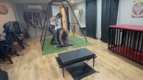 promo pony riding circus training behaviour and precence must be trained