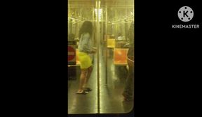 sluts on the train freaking i wanted both for a 3sum but only 1 came to my house