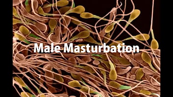 Male Masturbation