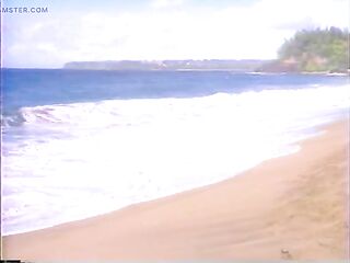 Undercover Agents Francois Papillon and Kascha Were Sent to Hawaii to Catch Syndicate Big Fish