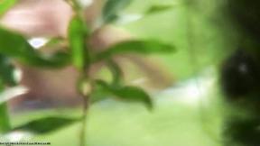 ”Aroused Couple Enjoys Missionary Sex At The River Bank”