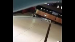 137530CB-F996-4142-BB9D-E5C22F4BEAC7.MOV