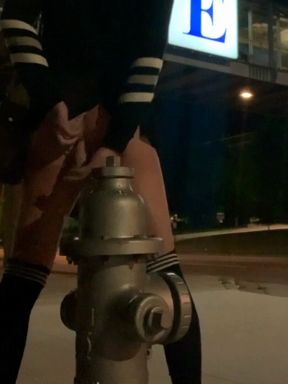 Riding Huge Dildo on a Fire Hydrant Next to Busy 4 Lane Road