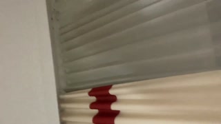 White girl crazy doggy style in Hotel room neighbors knocking on wall