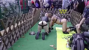 Gay Guys Get Doggy In Public