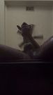 All I wanna see is you up under me