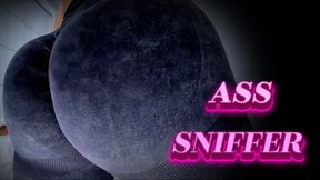 ASS SNIFFER