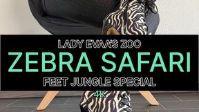 Zebra Temptation - Lace Up Heels & Elevated Leg Frame | 4K Version