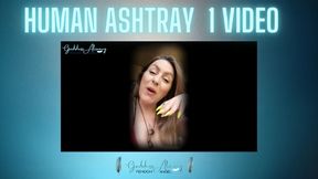 HUMAN ASHTRAY 1 #VIDEO