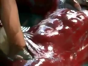 Hard Heroes: Stud Squad