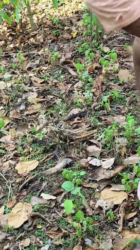 The brother-in-law took the sister-in-law to the forest on the pretext of roaming   Clip 1