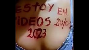 V&iacute_deo de verificaci&oacute_n