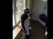 cumming inside wetsuit watching construction workers outside hotel