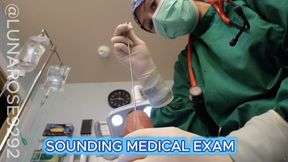 Dr. Luna Sounding Exam POV