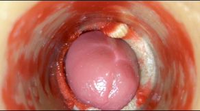 Best Compilation Crempie Pussy - Camera Inside 4K