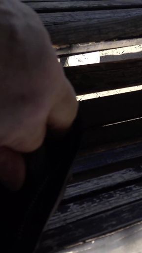Blow Job and Cum Swallow at the City Castle