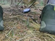 torture play my cock in the forrest