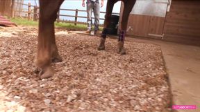 The funny dude watches the other fuck, and then he gets his moment from the slutty blonde