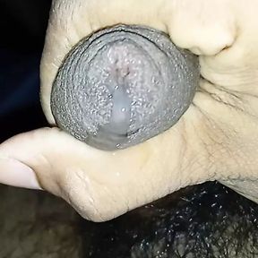 Black dick