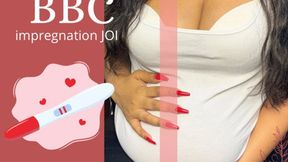 Pregnant by BBC (Impregnation JOI)