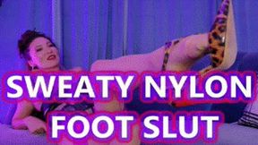 Sweaty Nylon Foot Slut - Mz Kim Asian Goddess Foot Domination With Sweaty Feet, Vintage Stockings, Foot Slave Training