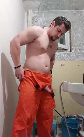 Renovating Never Been Easy...i Got Tired of Cleaning the Walls so I Start Playing with My Elf. Do You Want Me to Work at Your Ho