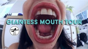 Giantess Mouth Tour- Explore Stella Liberty's Tasty Mouth - VR MP4