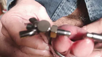 Solo Bear Stretches His Peehole with a Toy