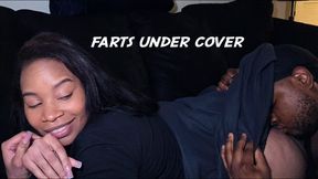 Farts Under Cover