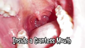 Inside a Giantess Mouth