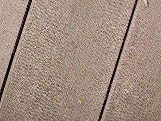 Pissing On The Porch 《4k》