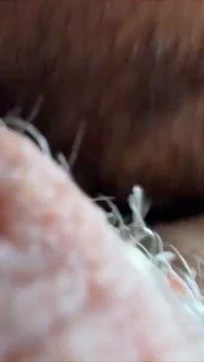OhTrevor's GOOD COCK Neil Elliots GREAT ASS!   Clip 1
