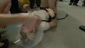 Public Disgrace: Squirting Blond Fuck Puppy Is Eager To Please From Her Hands And Knees