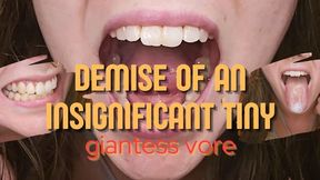 Demise of an Insignifiant Tiny