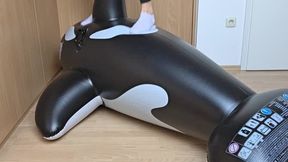 Riding & Stomping a Giant Inflatable Orca