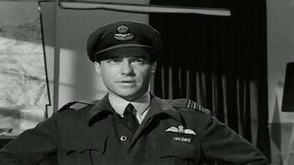 za.Damm.Bstterrs.1955.Movv