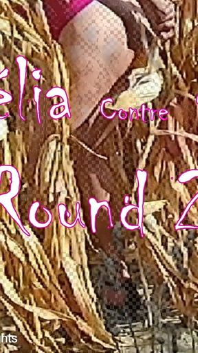 Nothing Better Than an Outing in the Countryside in Corn Field to Do Yourself Good
