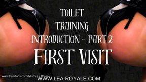 Toilet training introduction part 2 - FIRST VISIT Audio