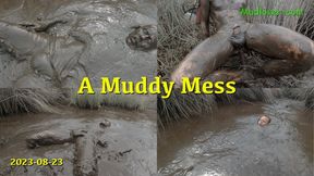 A Muddy Mess, 2022-08-23